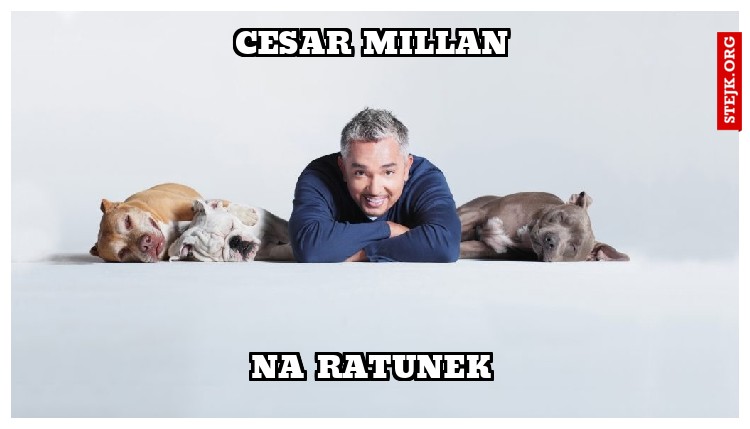 cesar millan