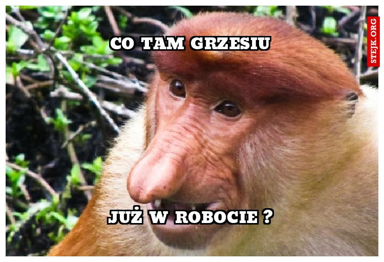 CO TAM GRZESIU