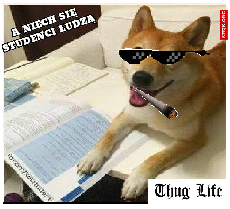A NIECH SIĘ STUDENCI ŁUDZĄ