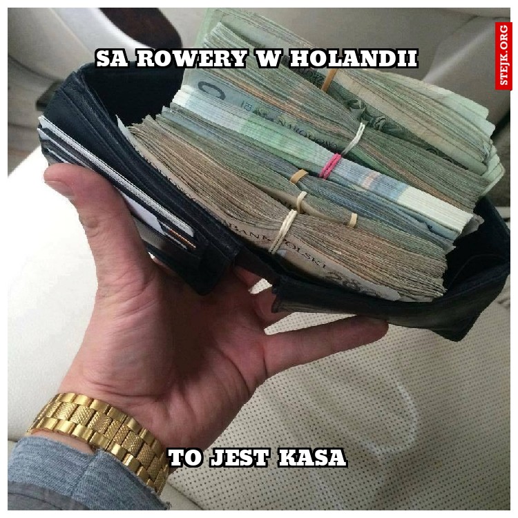 sa rowery w holandii