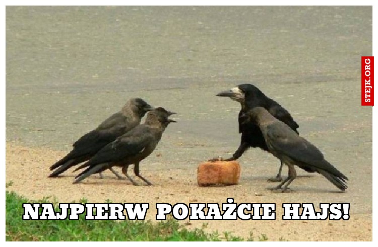 Najpierw pokażcie hajs! 