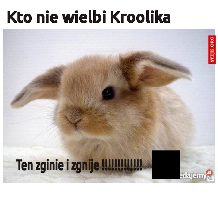 Kto nie wielbi Kroolika