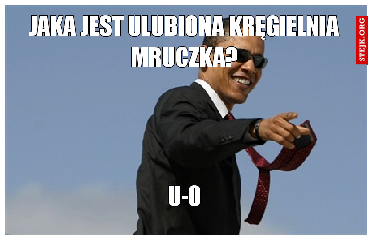 JAKA JEST ULUBIONA KRĘGIELNIA MRUCZKA?