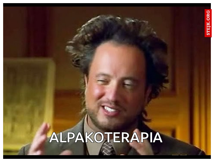 Alpakoterapia