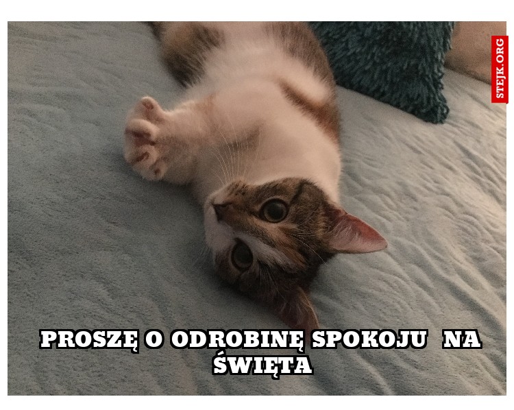 Proszę o odrobinę spokoju  na święta