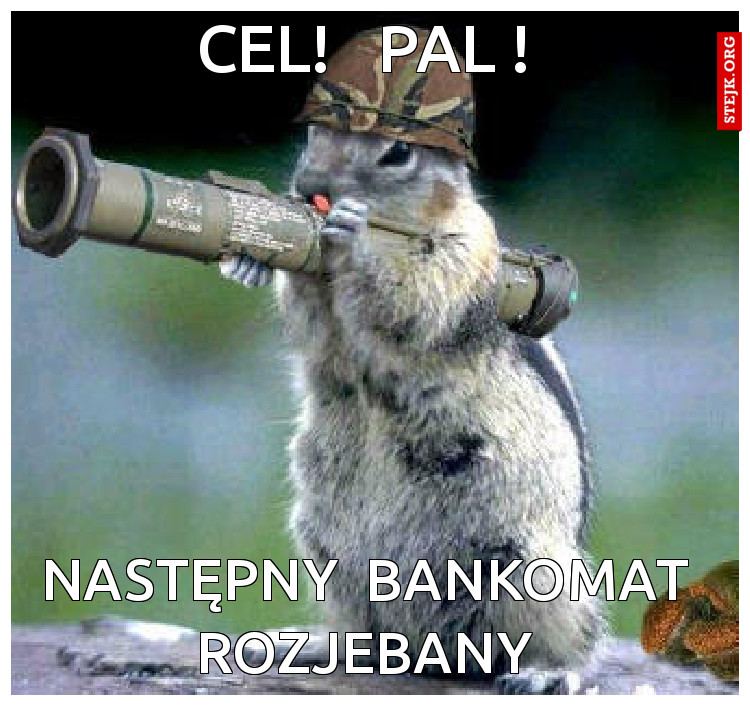 cel!   pal !