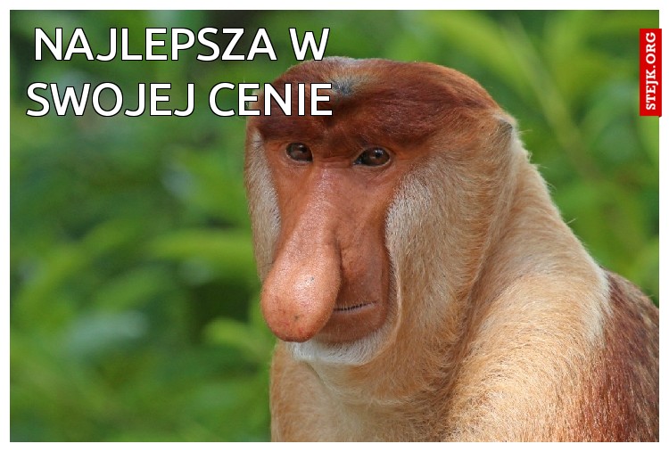Panie A ta Akyga dobra?