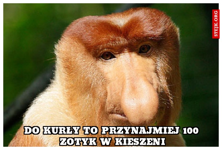 Do kurły to przynajmiej 100 zotyk w kieszeni