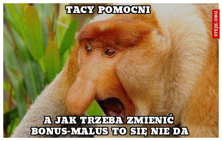 Tacy pomocni