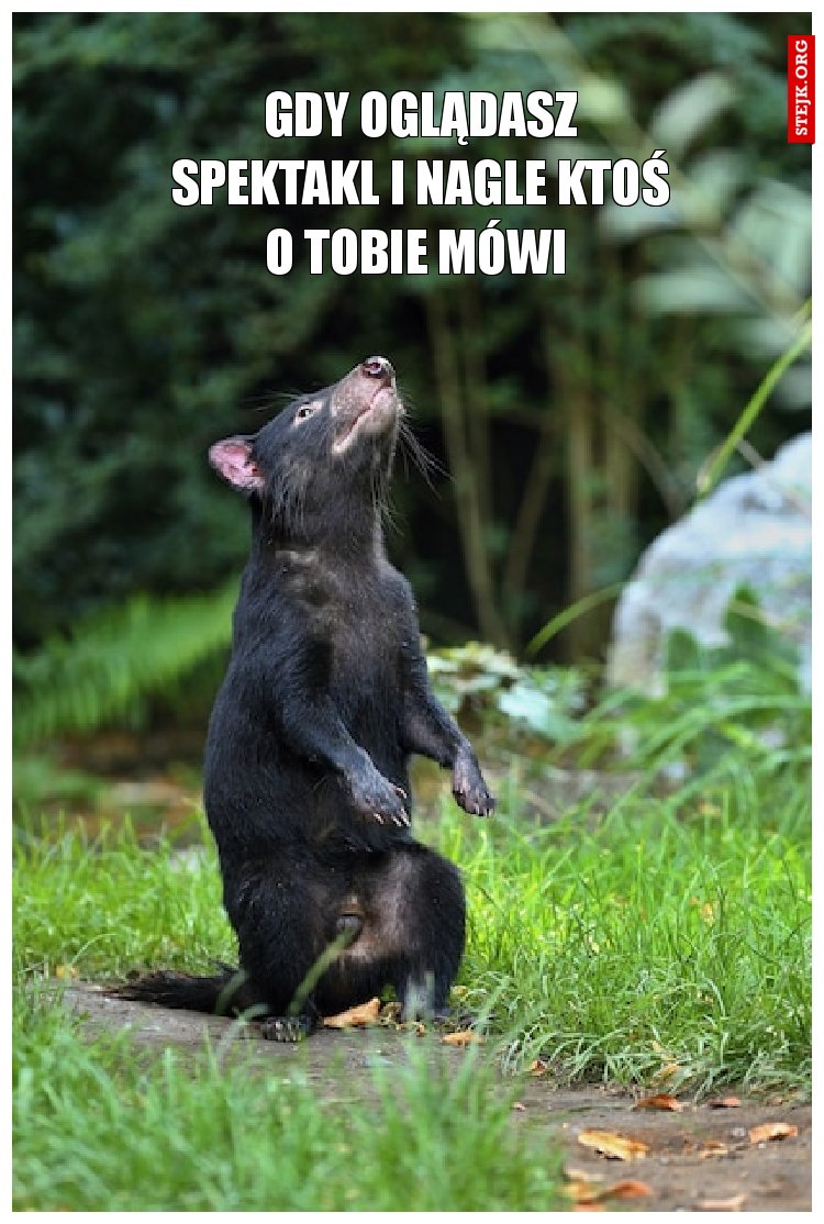 Gdy oglądasz spektakl i nagle ktoś o Tobie mówi 