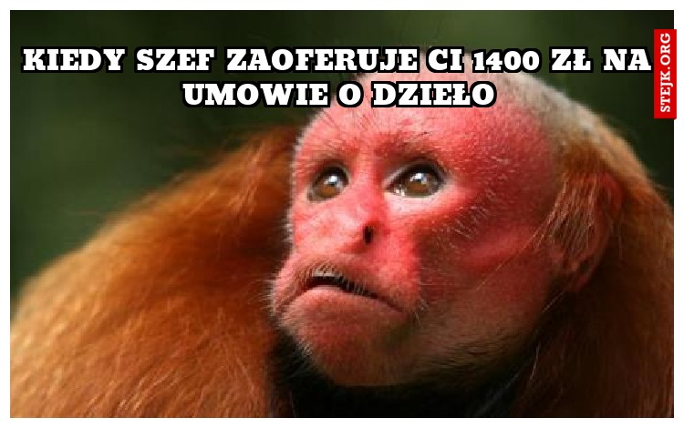 Kiedy szef zaoferuje ci 1400 zł na umowie o dzieło