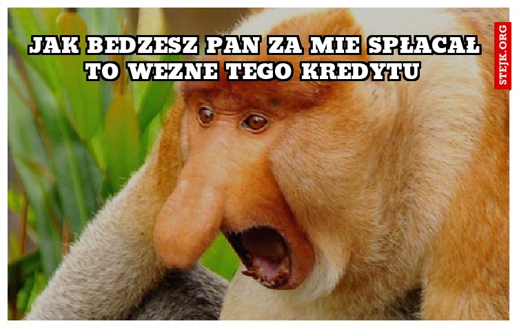Jak bedzesz pan za mie spłacał to wezne tego kredytu 