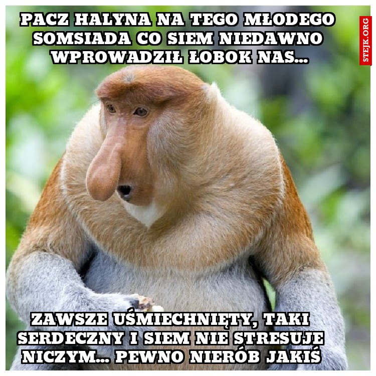 pacz halyna na tego młodego somsiada co siem niedawno wprowadził łobok nas...