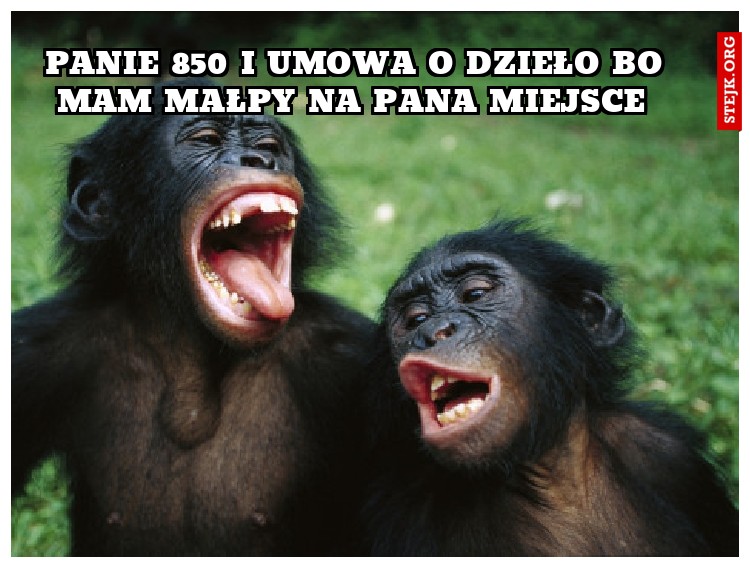 panie 850 i umowa o dzieło bo mam małpy na pana miejsce 