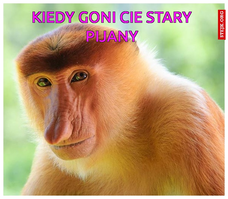 Kiedy goni cie stary pijany