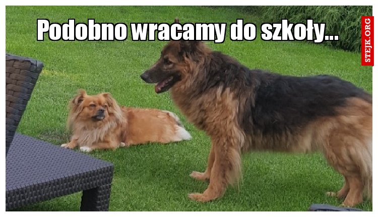 Podobno wracamy do szkoły...
