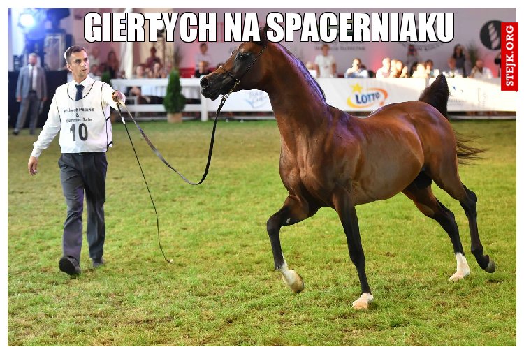 Giertych na spacerniaku