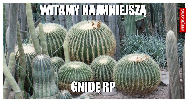witamy najmniejszą