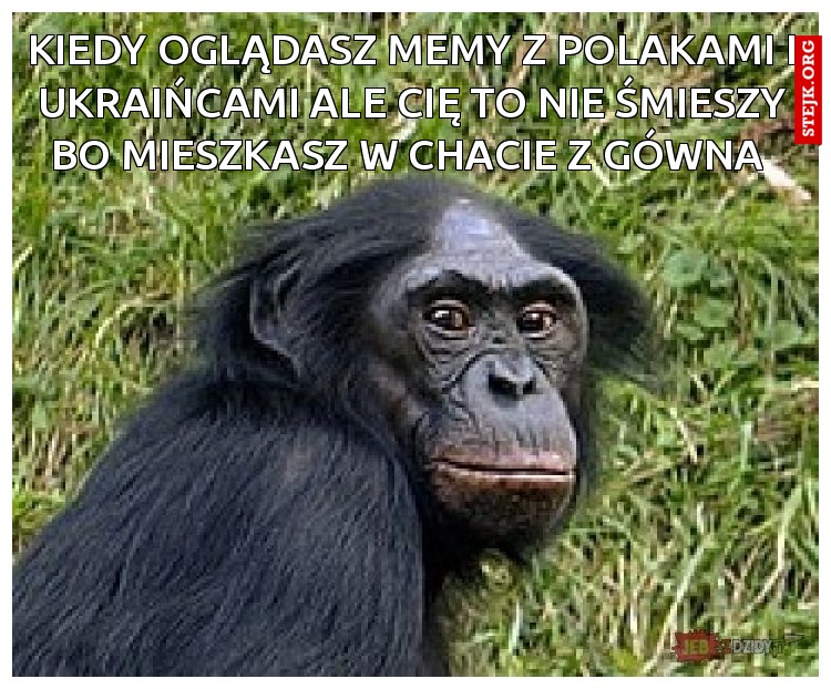 KIEDY OGLĄDASZ MEMY Z POLAKAMI I UKRAIńCAMI ALE cię to nie śmieszy bo mieszkasz w chacie z gówna 