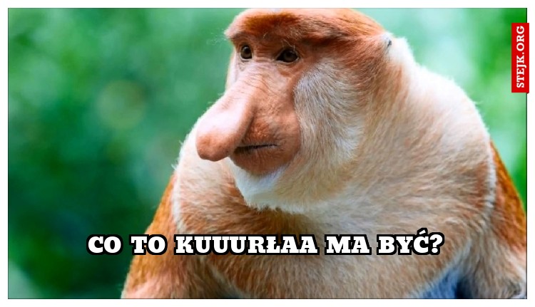 co to kuuurłaa ma być?