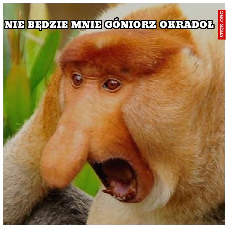Nie będzie mnie góniorz okradoł
