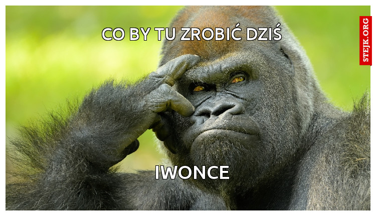CO BY TU ZROBIĆ DZIŚ 