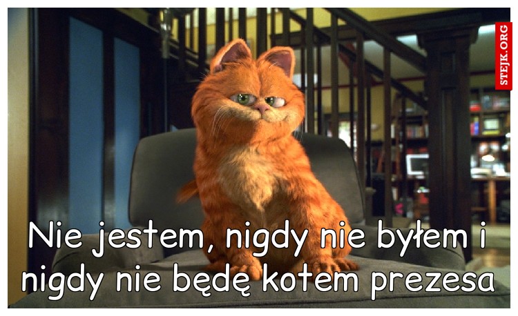 Nie jestem, nigdy nie byłem i nigdy nie będę kotem prezesa