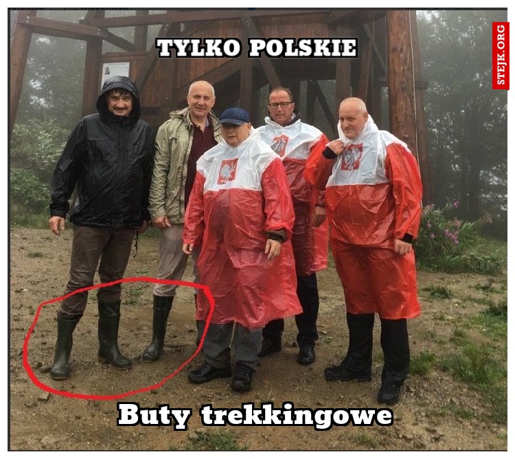 Tylko polskie