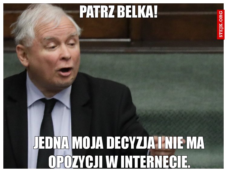 Patrz Belka!