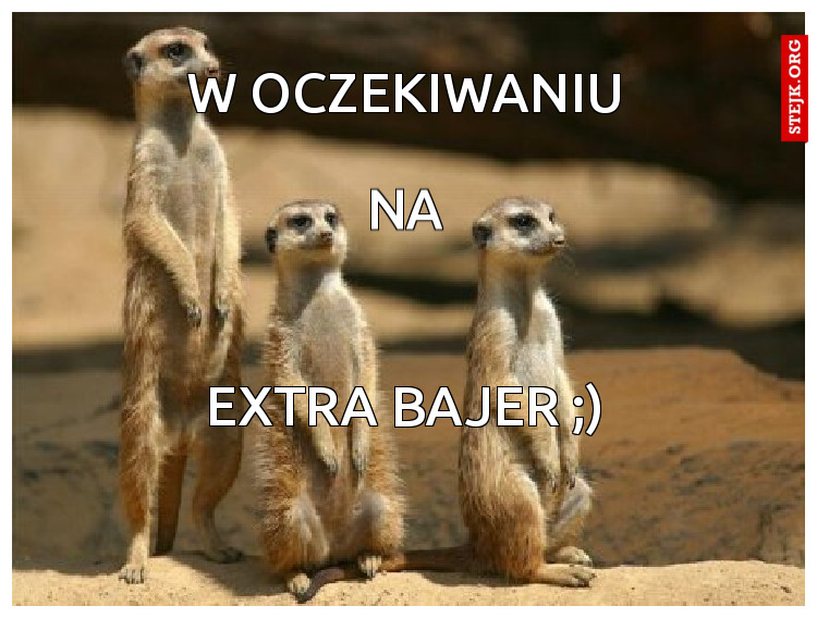 W OCZEKIWANIU