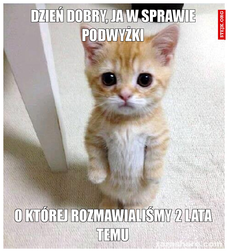 Dzień dobry, ja w sprawie podwyżki