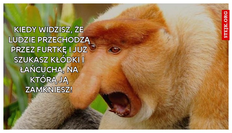 Kiedy widzisz, że ludzie przechodzą przez furtkę i już szukasz kłódki i łańcucha, na którą ją zamkniesz!