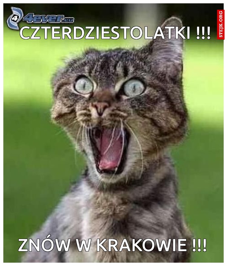 CZTERDZIESTOLATKI !!!