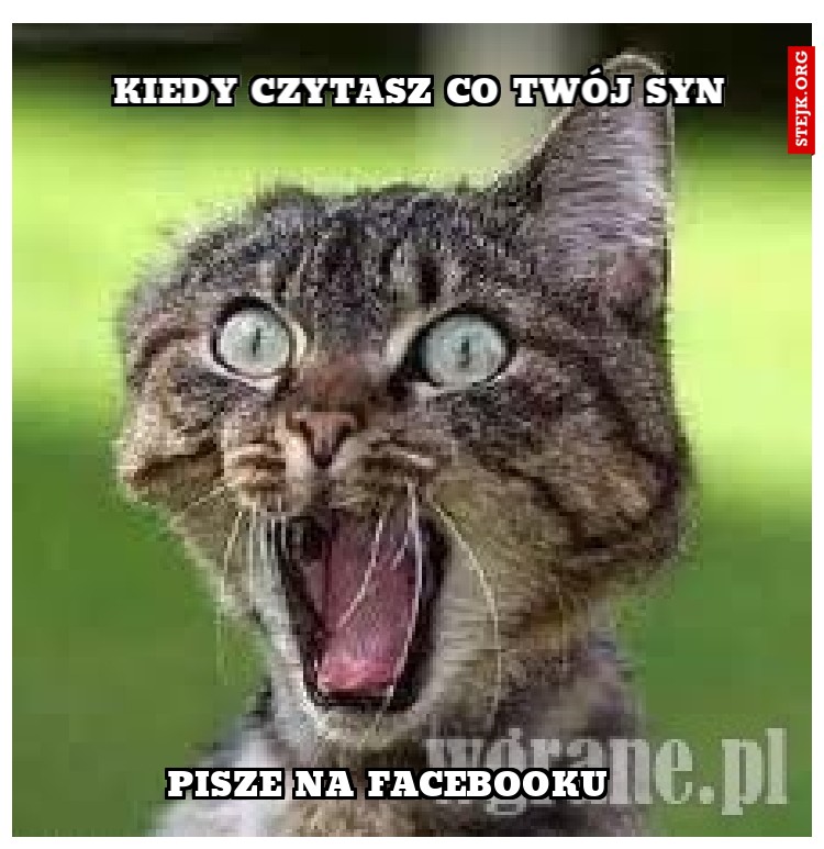 Pisze na Facebooku 