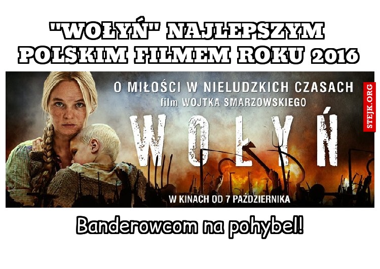 "Wołyń" najlepszym polskim filmem roku 2016
