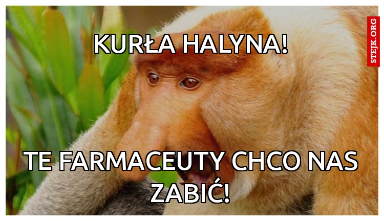 Kurła Halyna!