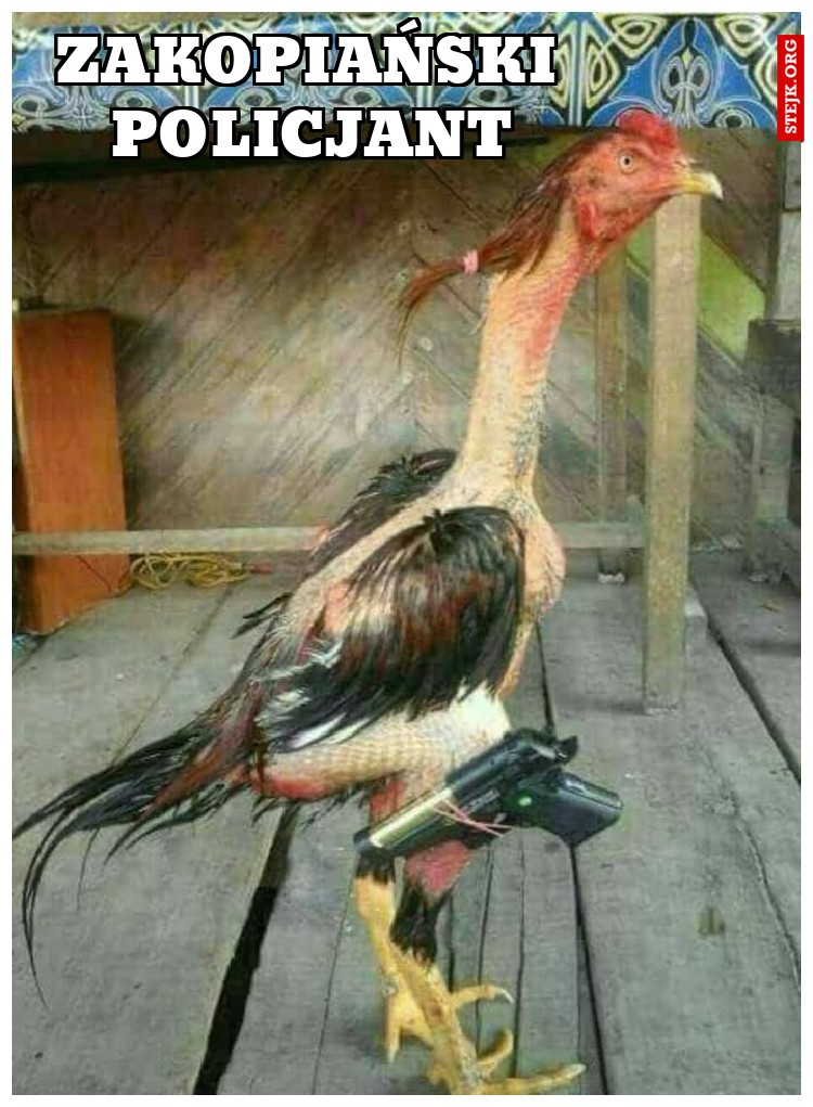 zakopiański policjant