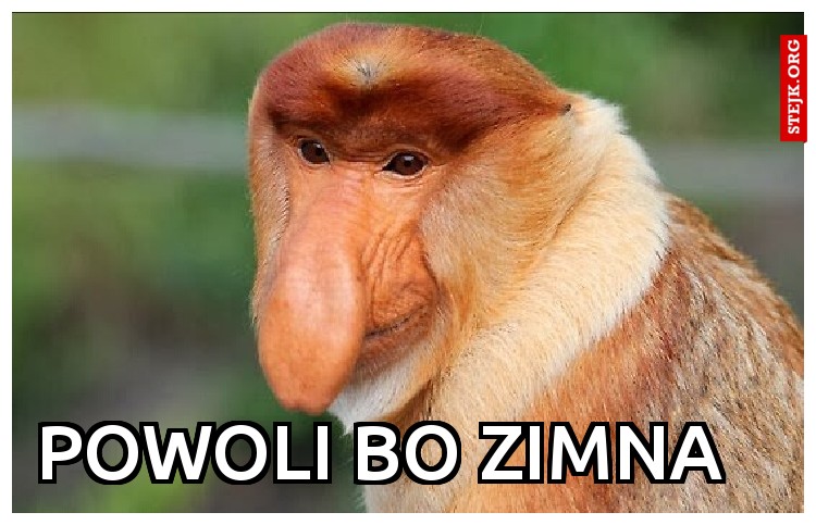 Powoli bo zimna 