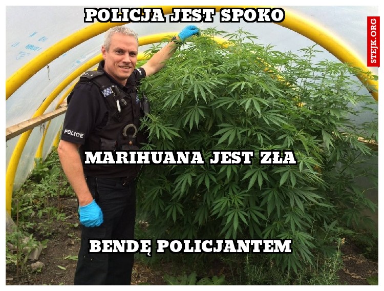 policja jest spoko 