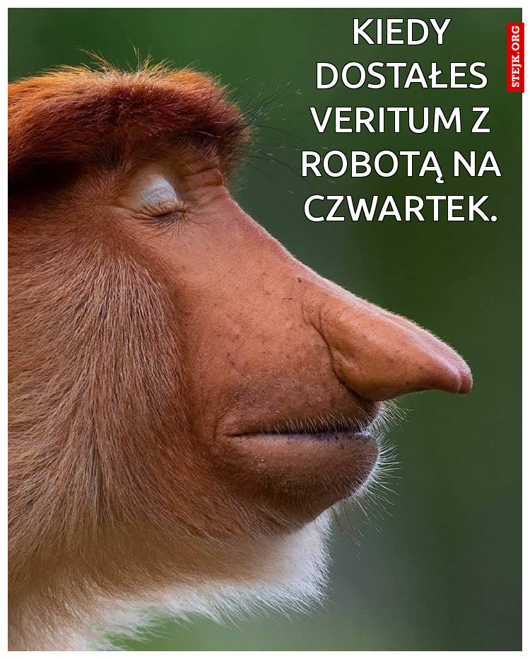 Kiedy dostałes veritum z robotą na czwartek.