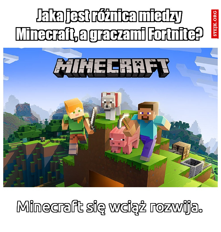Jaka jest różnica miedzy Minecraft, a graczami Fortnite?