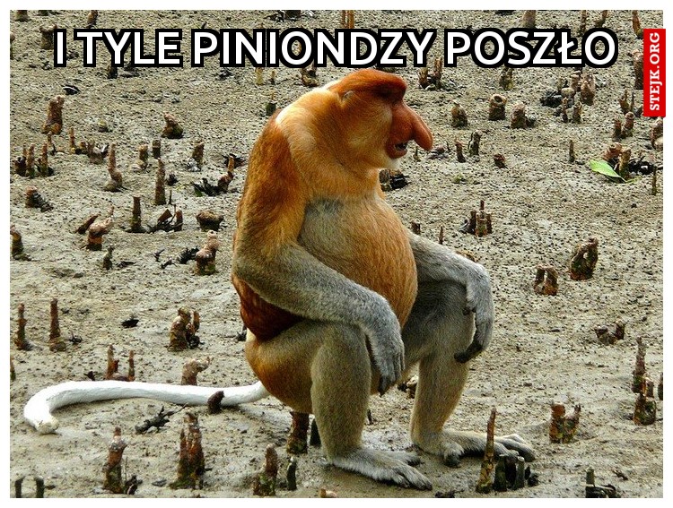 i tyle piniondzy poszło