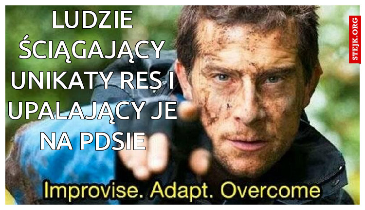 ludzie ściągający unikaty res i upalający je na pdsie