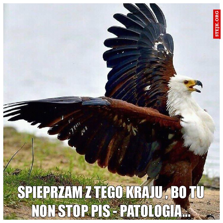 SSpieprzam z tego kraju , bo tu non stop pis - patologia....