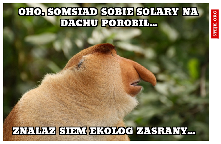 oho. somsiad sobie solary na dachu porobił...