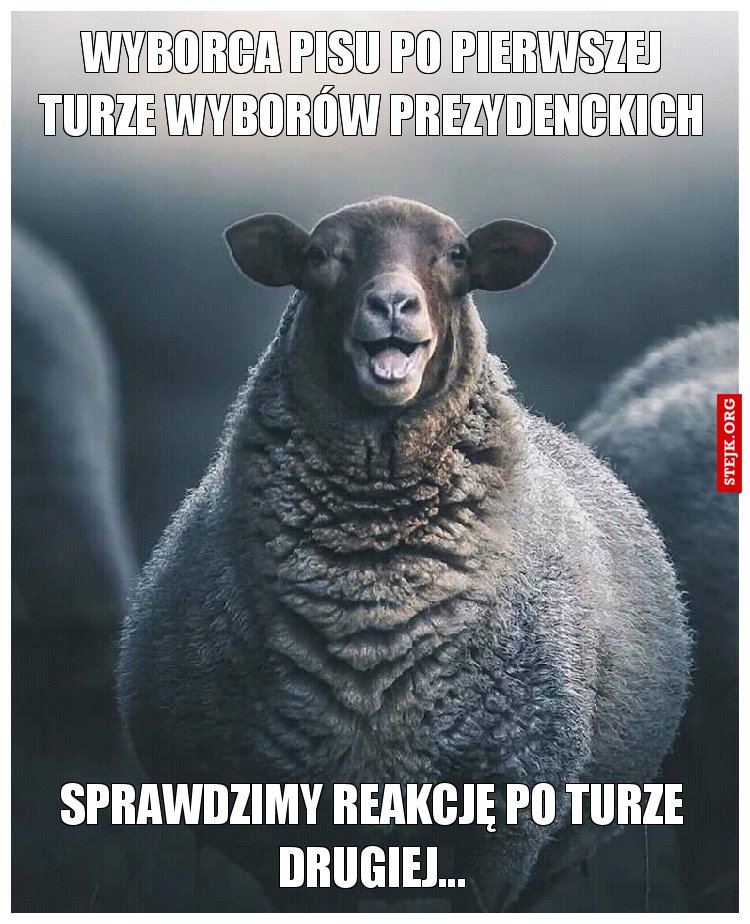 Wyborca pisu po pierwszej turze wyborów prezydenckich