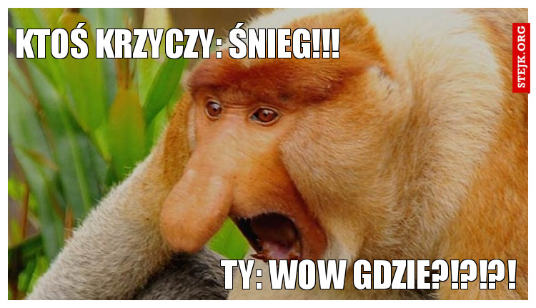 Ktoś krzyczy: Śnieg!!!