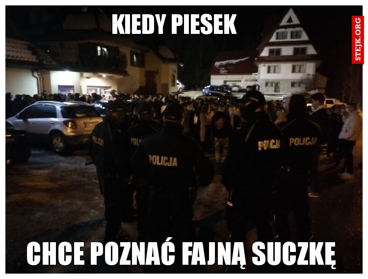 kiedy piesek