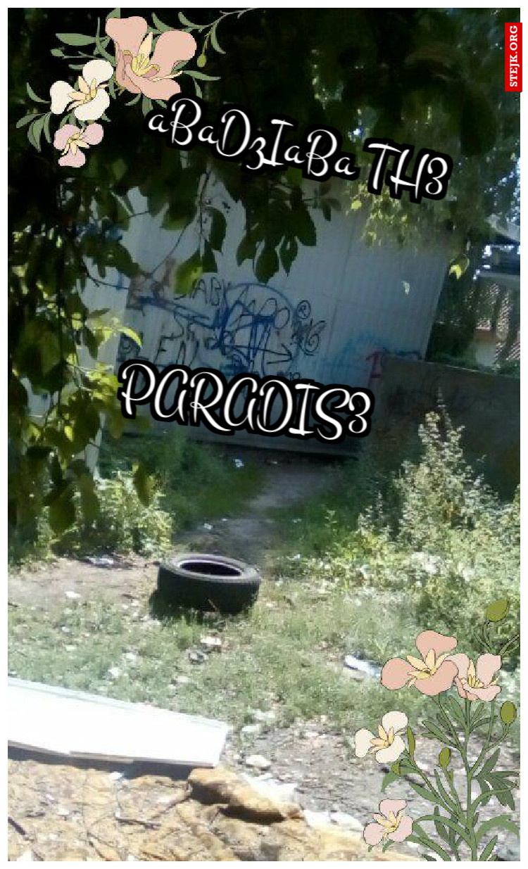 PARADIS3