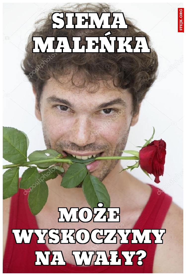 Siema maleńka